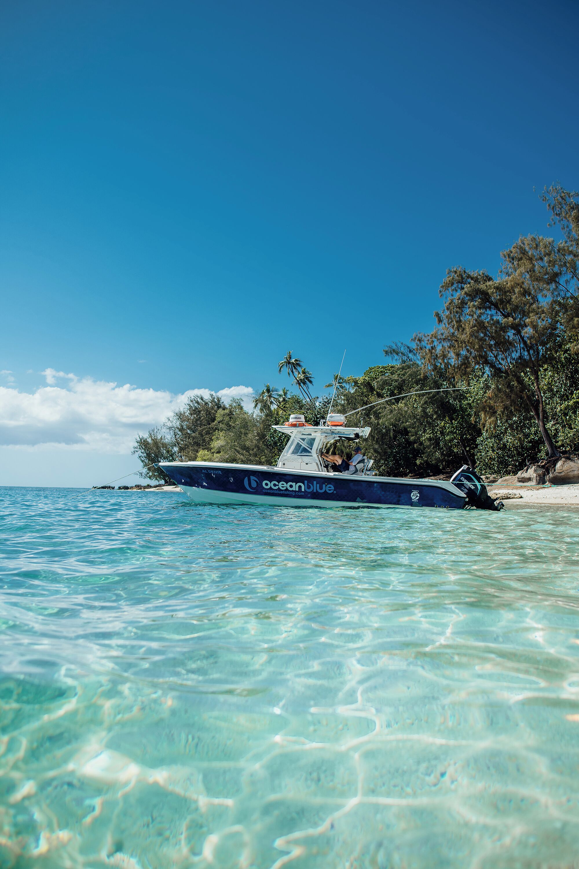 A boat named 'oceanblue' anchored near a beach with clear turquoise water and palm trees in the background.