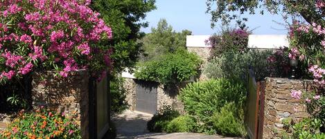 Área da propriedade