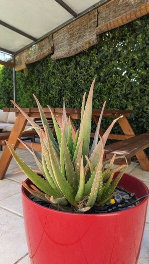 Property grounds - Toulon Sunny Family Vacation Villa with Garden near Var Beaches (Toulon)