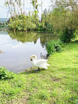 Property grounds - Charmante Altbau-ferienwohnung mit Großer Dachterrasse in Herzberg am Harz (Herzberg am Harz)
