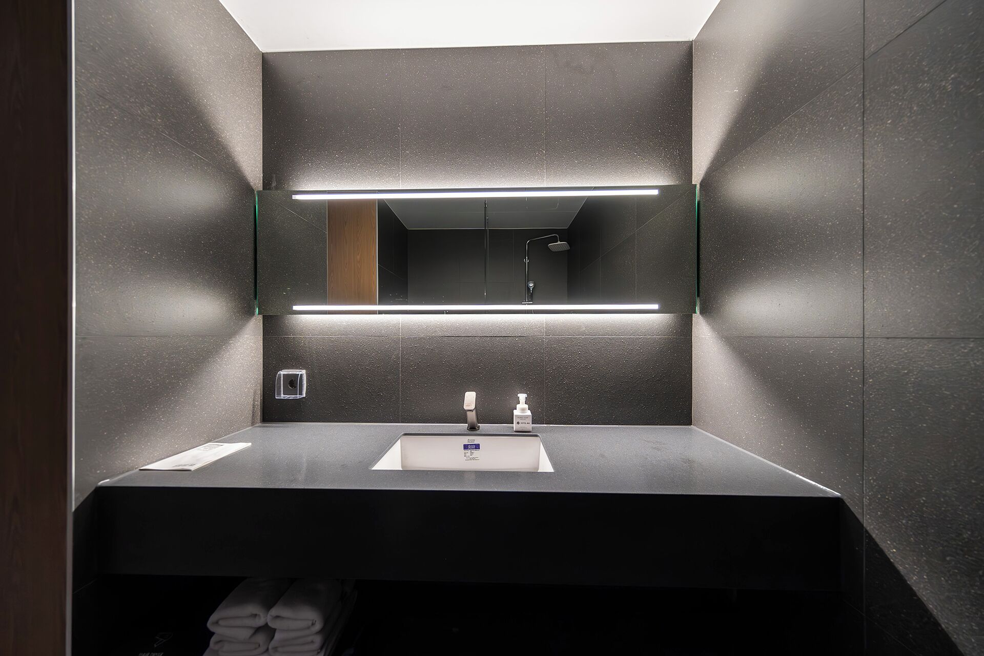 Standard | Badezimmer | Dusche, Regendusche, Designer-Toilettenartikel, Haartrockner