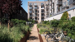 Un chemin menant à un immeuble d’appartements moderne, doté de balcons et d’un support à vélos.