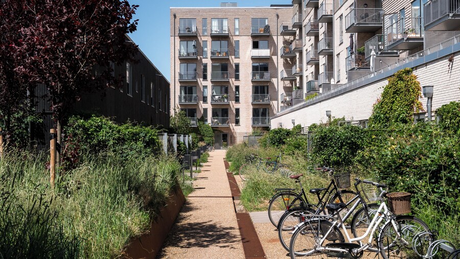 Beach Gardens 46 by Daniel&Jacob's