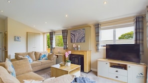 TV, fireplace, DVD player