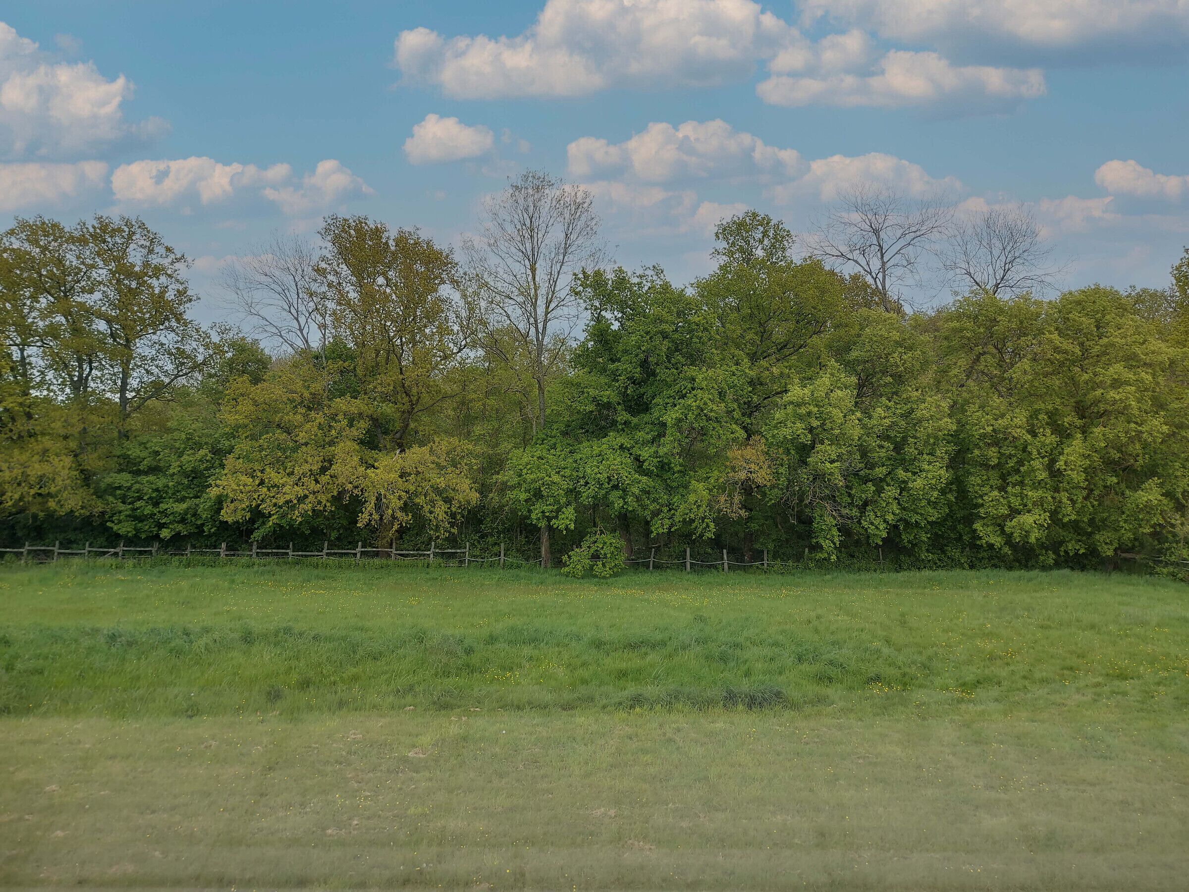 Un champ herbeux avec une clôture en bois et des arbres en arrière-plan.