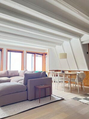 テレビ、暖炉、書庫