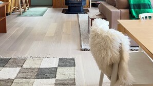 Una sala de estar acogedora con una estufa de leña, muebles de madera y un perro.