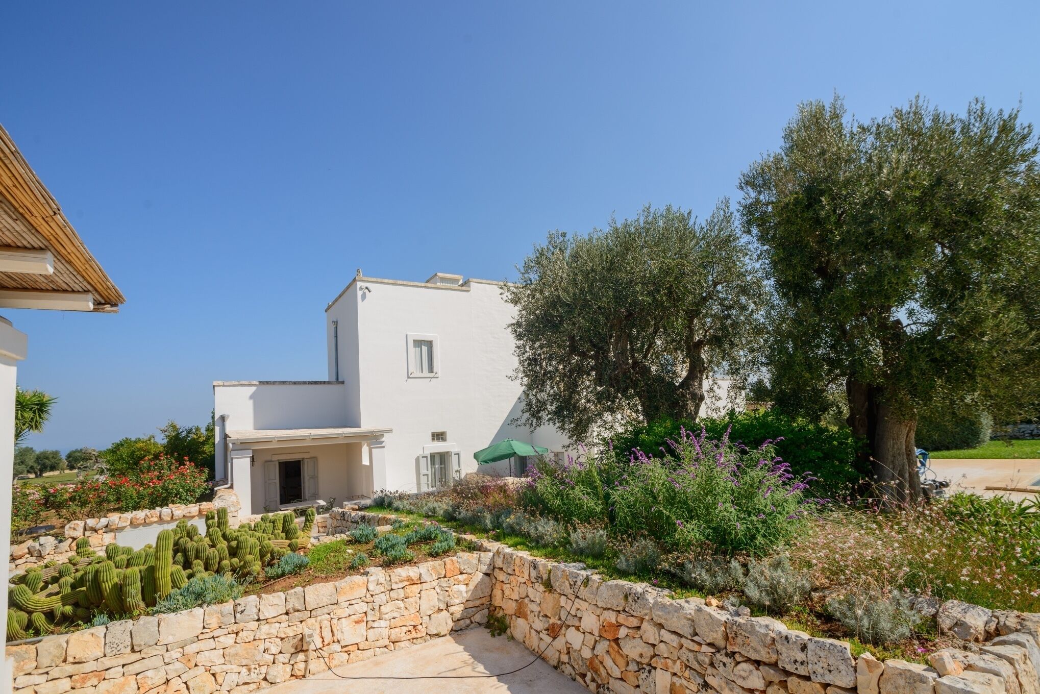 Un bâtiment blanc avec un jardin bordé d’un mur de pierres, un arbre et un ciel bleu dégagé.