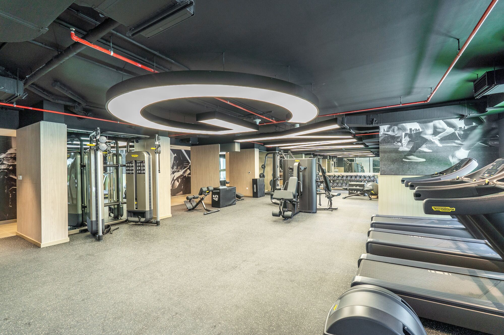 A modern gym with various exercise equipment, including treadmills and weight machines.