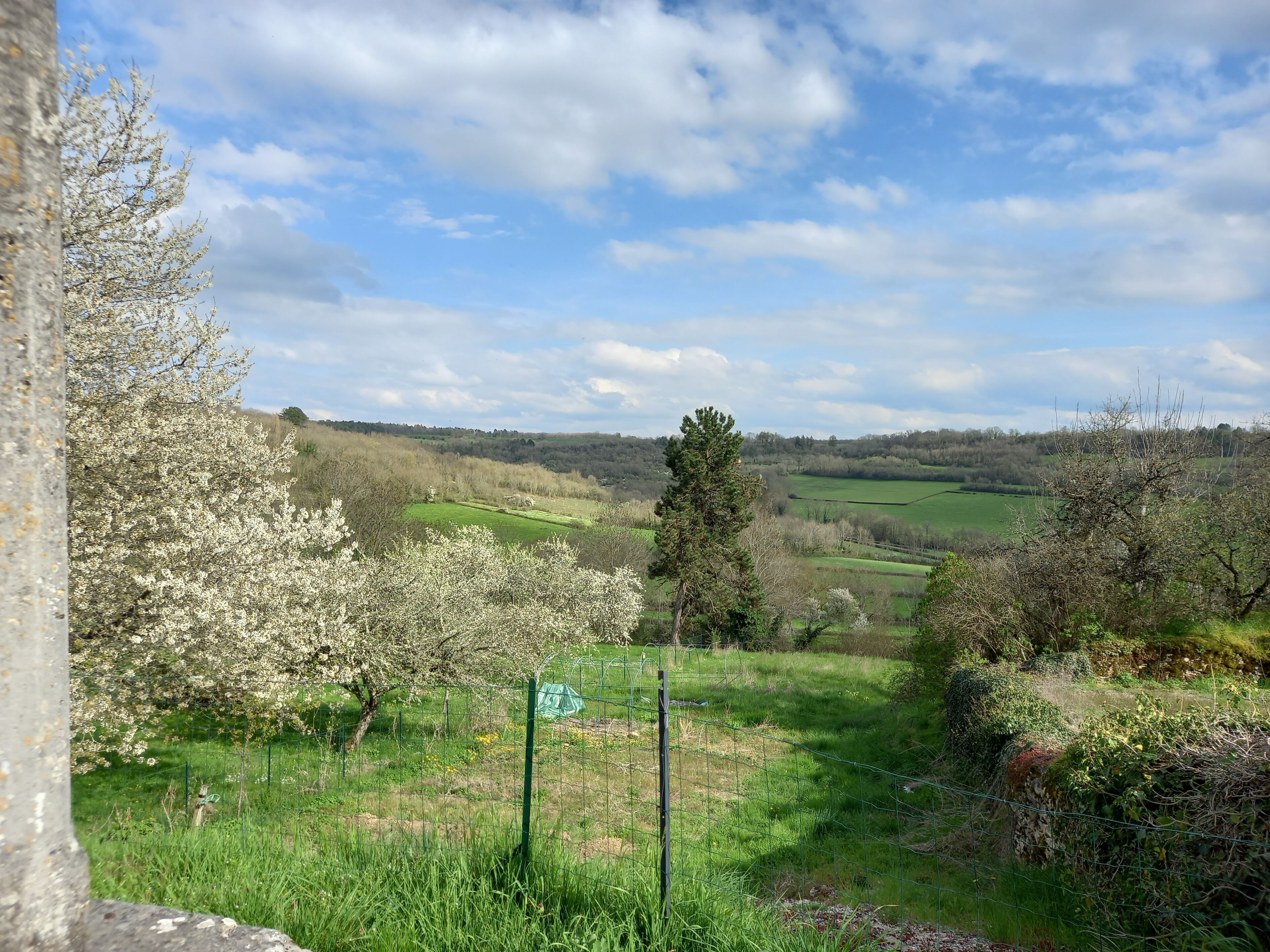 A rural landscape with a grassy field, trees, and a clear sky.