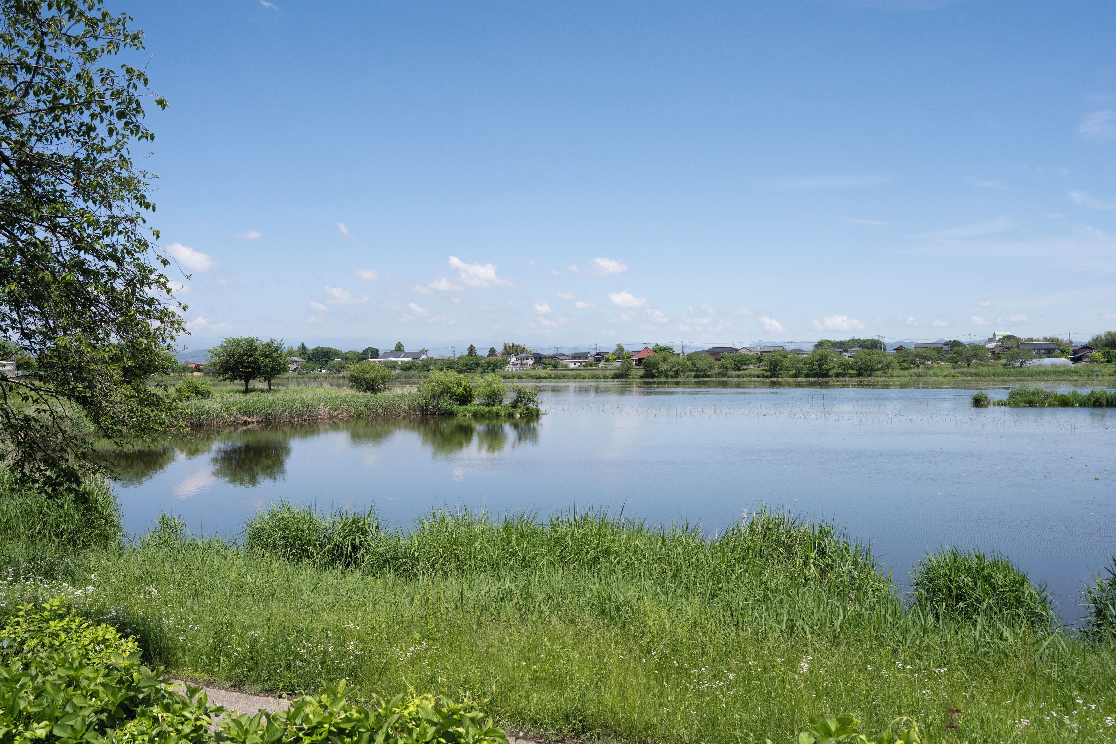 A calm lake with surrounding greenery and distant buildings.