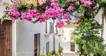 Villa Oliva with private heated pool and amzing views