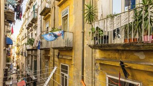 Une rue étroite bordée d’immeubles à plusieurs étages, de balcons ornés de plantes et où l’on aperçoit des signes de travaux.