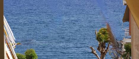 公寓 | 1 間睡房