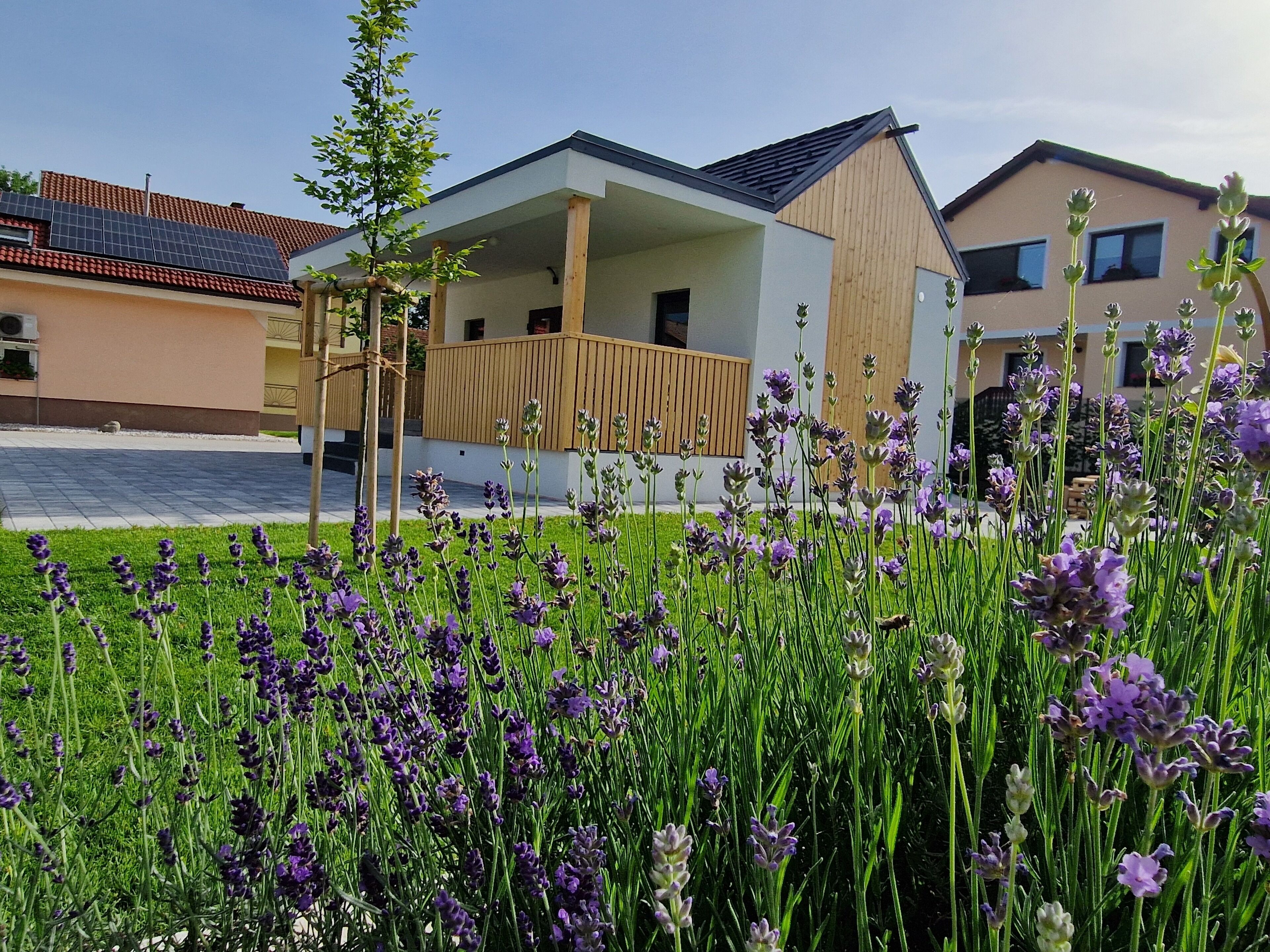 A modern residential building with a covered outdoor area, surrounded by a well-maintained garden with purple flowers.