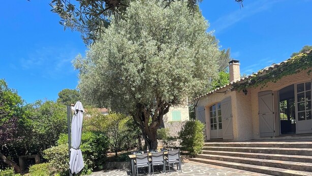 Une terrasse avec des sièges extérieurs, un grand arbre et un bâtiment doté d’un toit en tuiles.