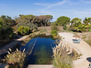 Un espace piscine extérieur paisible, doté d’une terrasse en bois et entouré d’une végétation luxuriante et d’arbres.