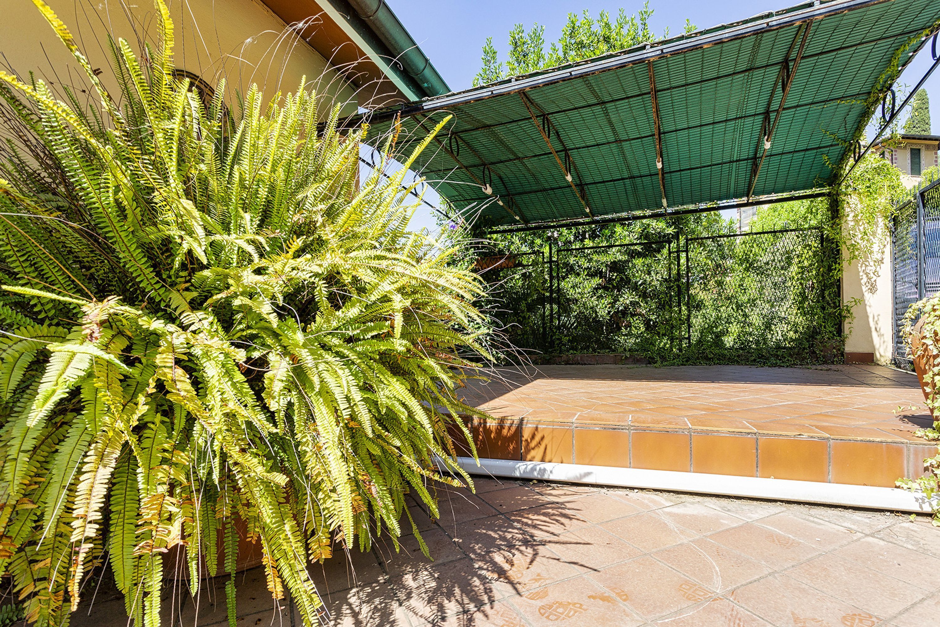 A covered patio area with a large fern plant, a tiled floor, and a green awning.