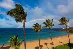 On the beach - Watch Whales and Sunsets from your Oceanfront Lanai- Maui Kai 301 (Lahaina)