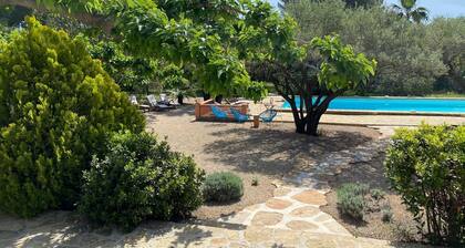 Grande Villa Dans Immense Parc Arbore et Clos Belle Piscine