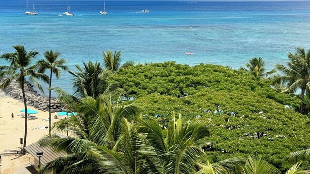 A beach with palm trees, a sandy shore, and boats in the water. - Gorgeous Ocean View Suite at Waikiki Shore! Steps to Beach! Heart of Waikiki! (Honolulu)