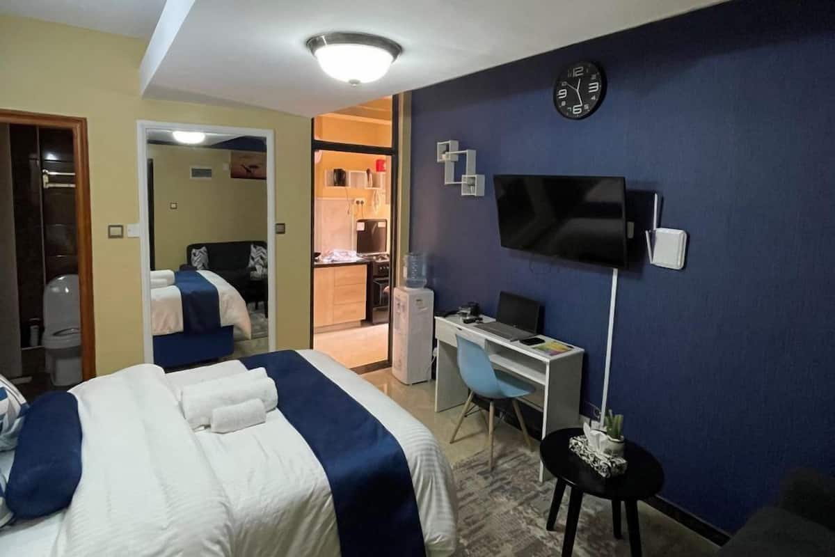 A hotel room with a bed, desk, chair, TV, and a small table with a plant.