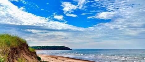 Plage à proximité, chaises longues, serviettes de plage