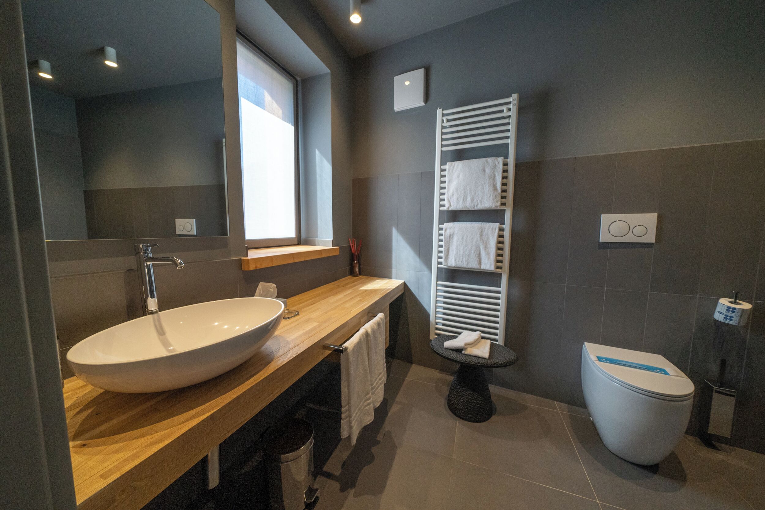 Une salle de bain moderne avec un grand lavabo ovale, des toilettes et un porte-serviettes.