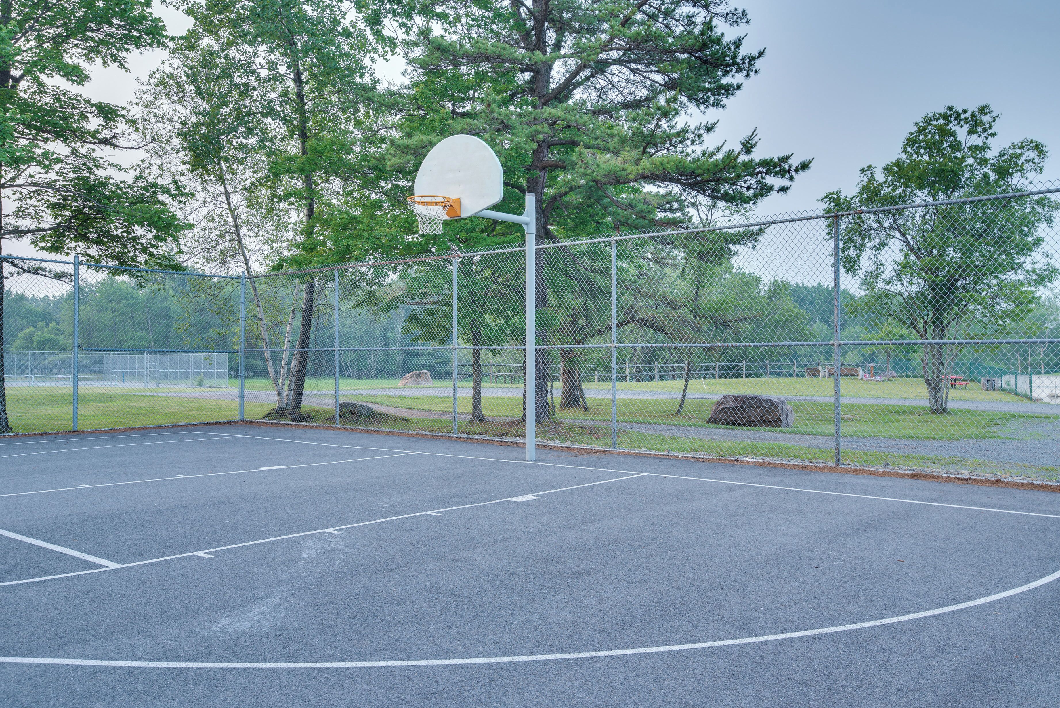 An outdoor basketball court with a chain-link fence, trees, and a clear sky.