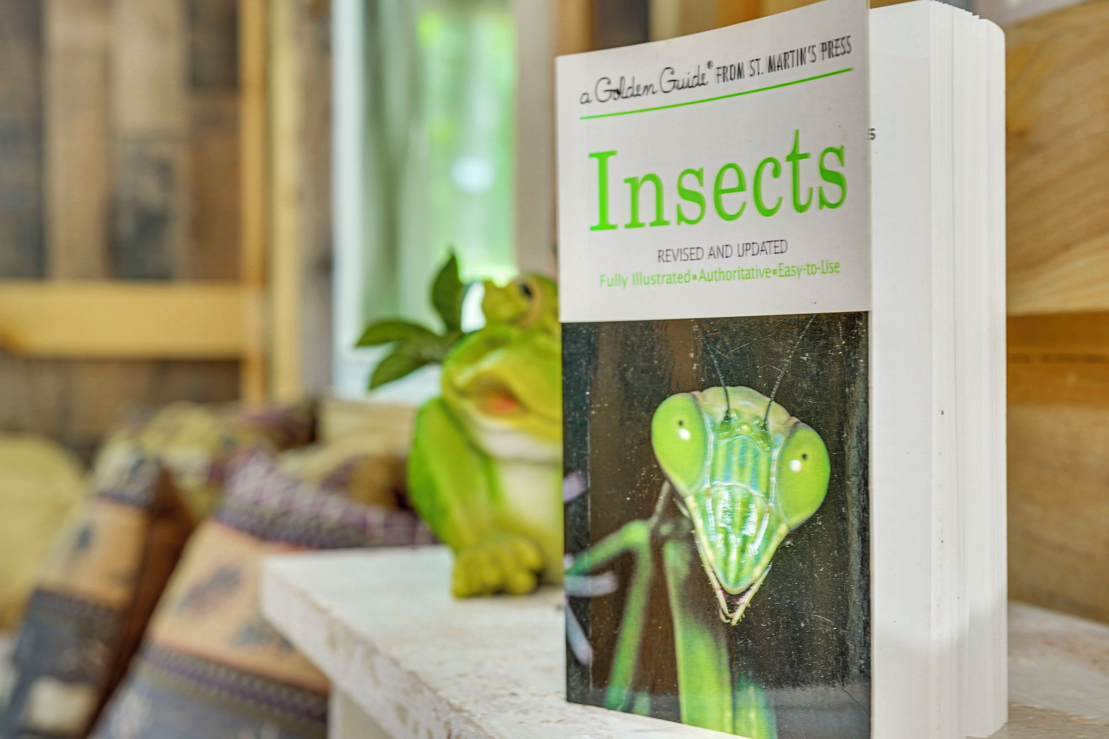 公寓 (0 Bedroom) | 住宿內部