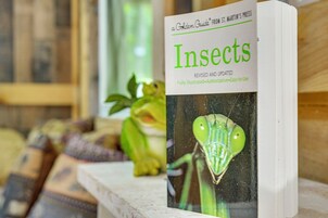 Apartment (0 Bedroom) | Interior