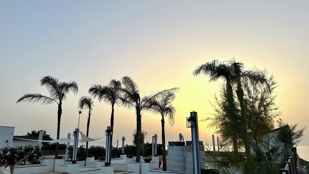 Una terraza en la azotea con palmeras, iluminación exterior y vistas al mar al atardecer.