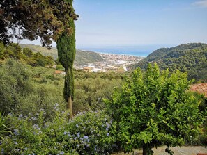 Vista desde la propiedad