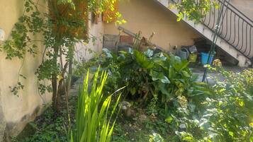 DĂ©tail de lâextĂ©rieur