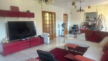 TV connectée, cheminée, livres, imprimantes