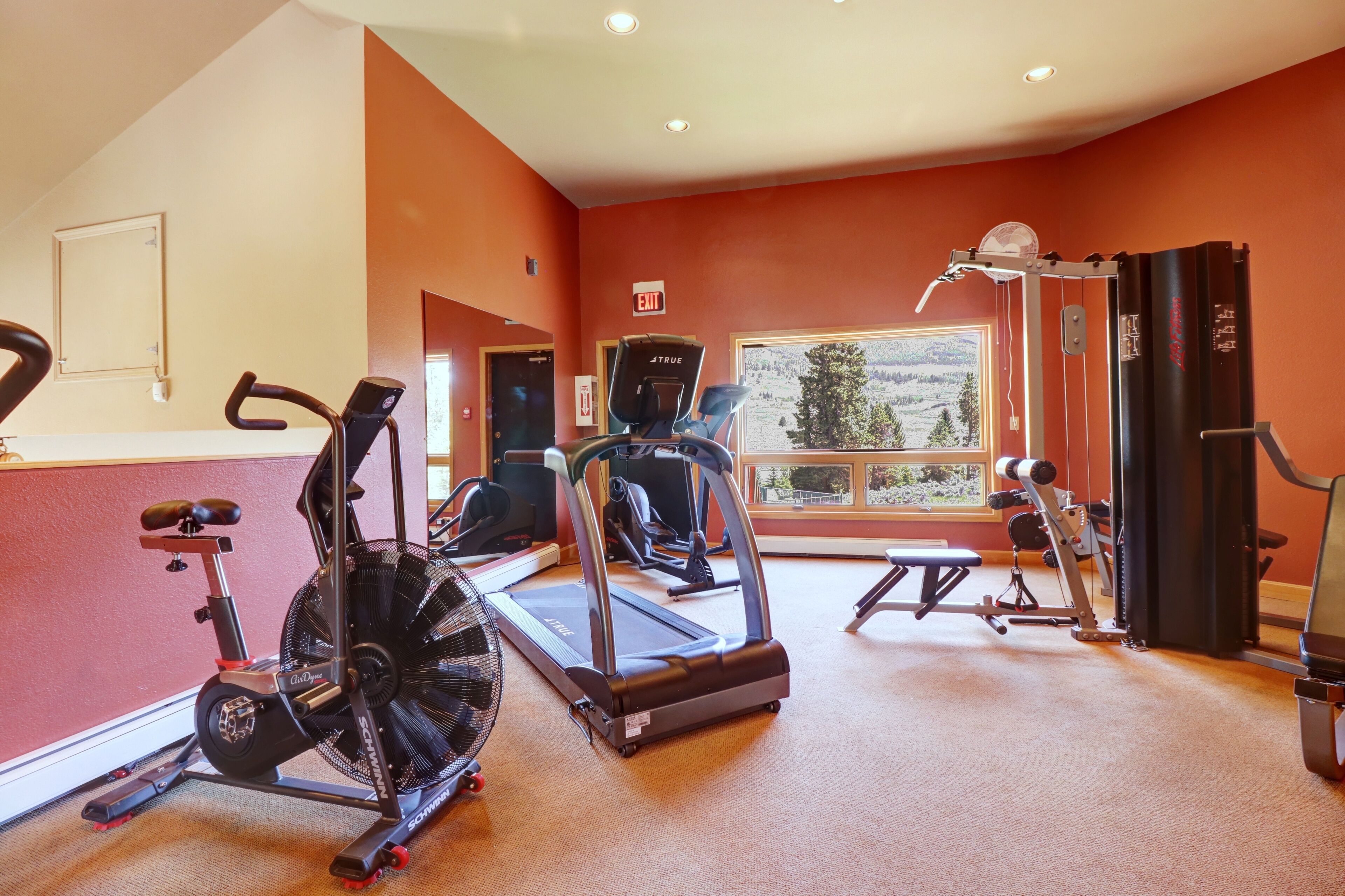 A gym with treadmills, stationary bikes, and weight machines.