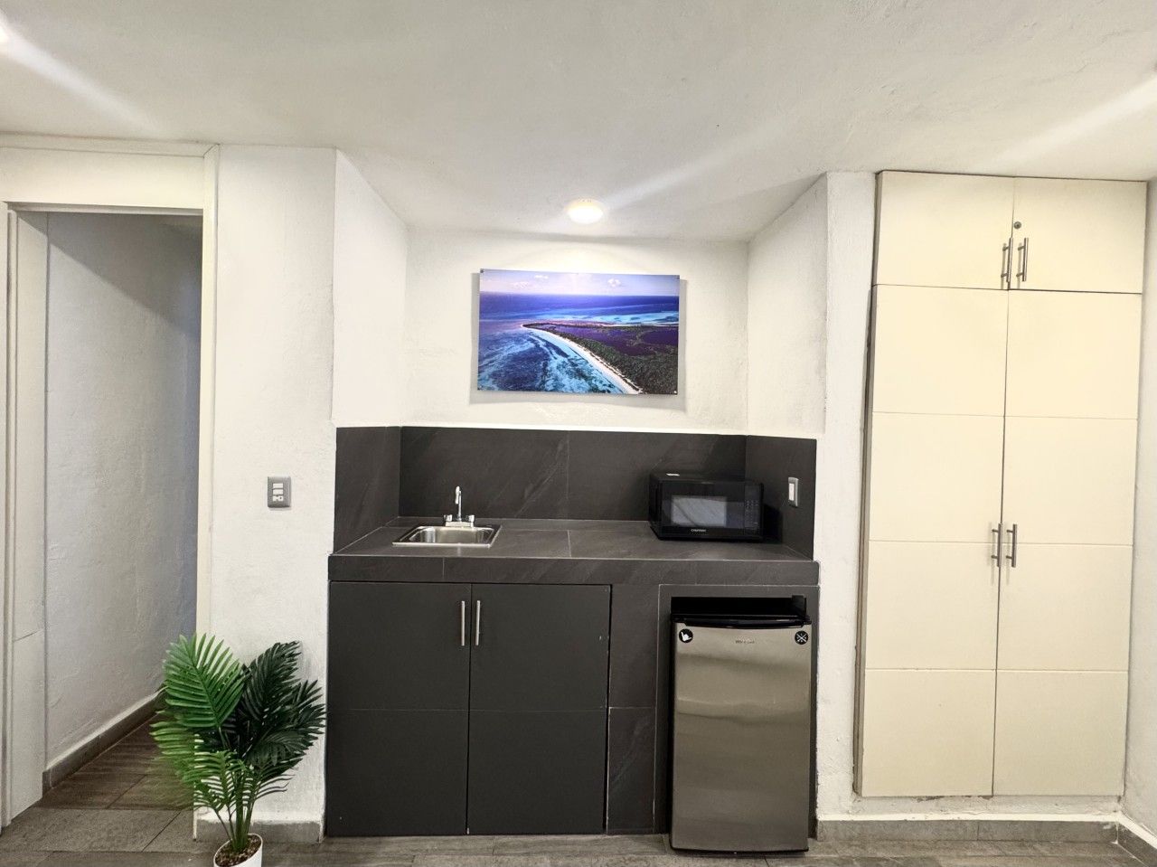 Cocina compacta con pileta, microondas y refrigerador, una planta en maceta y una puerta con alacena.