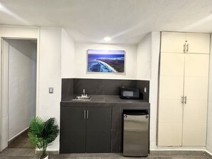 A compact kitchen with a sink, microwave, and refrigerator, a potted plant, and a door with a cabinet. - La Perle Noire | AB - Terasse et Piscine (San Miguel de Cozumel)