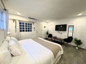 A hotel room with a large bed, a desk, a chair, a TV, and a plant. - La Perle Noire | AB - Terasse et Piscine (San Miguel de Cozumel)