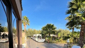 Un patio con una poltrona da relax, un'area salotto coperta e palme.