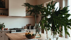 A kitchen with a wooden countertop, a bowl of fruit, a pitcher, and a large plant. - Luxury 5BR Townhome w/ Private Plunge Pool in Lower Garden District (New Orleans)