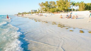A beach with clear water, people relaxing, and palm trees. - New Waterfront house pool hot tub golf cart kayaks (Indian Rocks Beach)