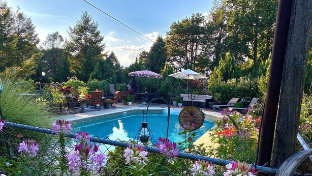 Une piscine entourée d’une végétation luxuriante et agrémentée de mobilier d’extérieur.