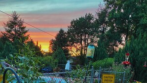 Un jardin avec une piscine, différentes plantes et un panneau d’avertissement.
