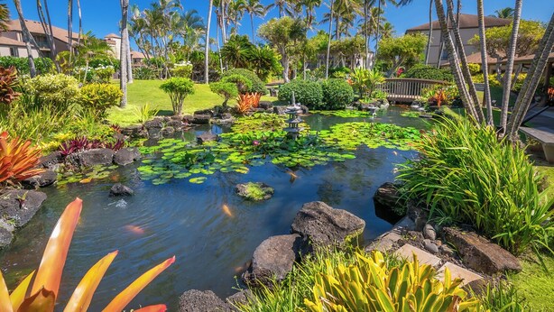 Un jardín tropical con un estanque, palmeras y diversas plantas.