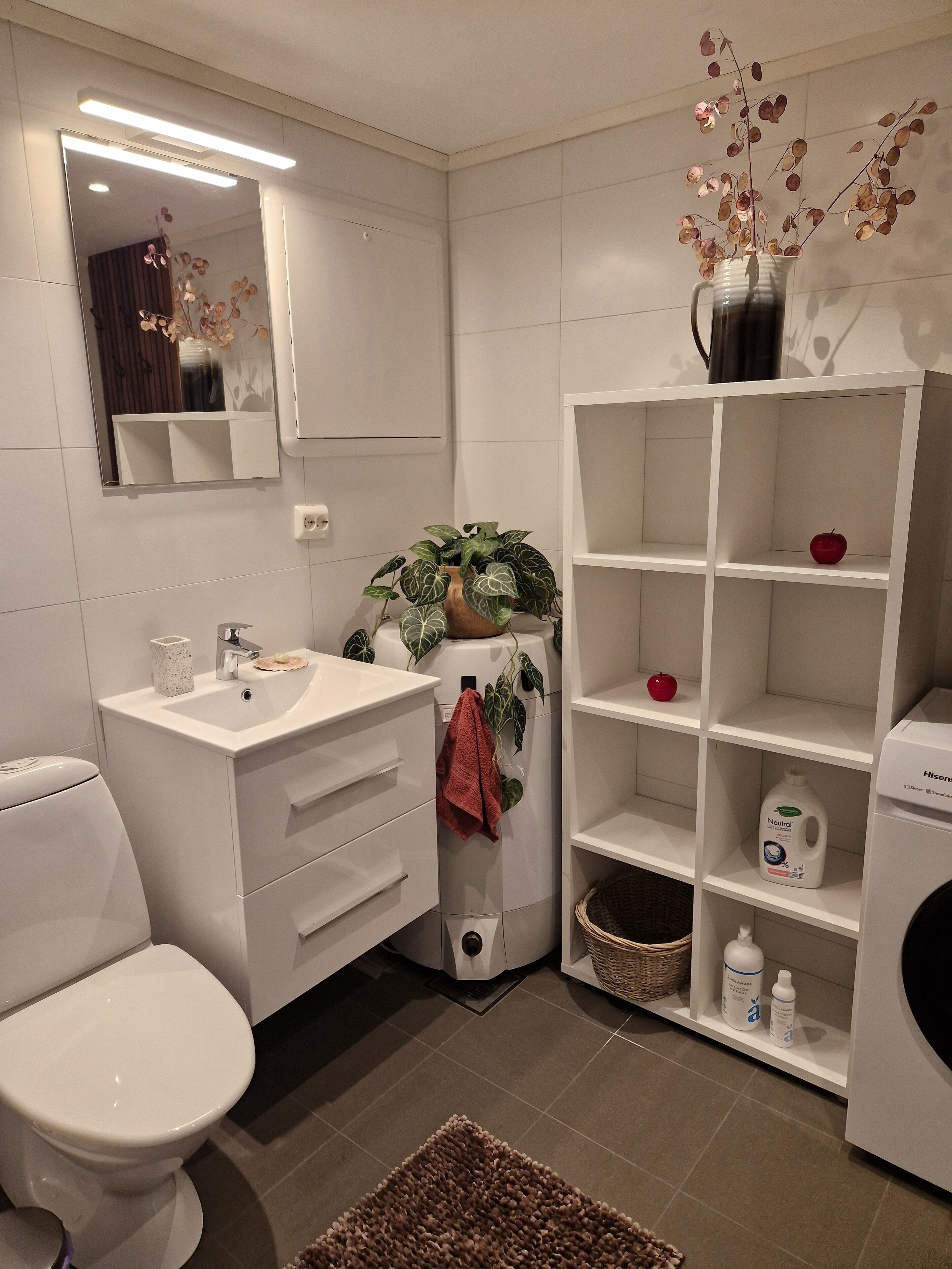 Un baño moderno con un lavamanos blanco, espejo e inodoro. Hay una repisa con una planta en maceta y una manzana roja.