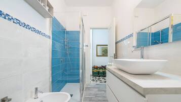 Shower, hair dryer, bidet, towels