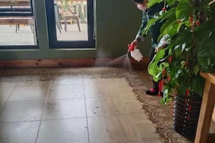 Una habitación con suelo de baldosas, una planta grande en maceta y un ventanal con vistas al exterior.
