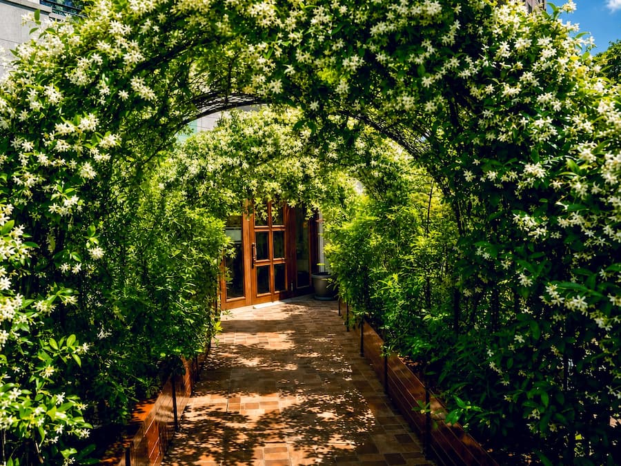 Garten