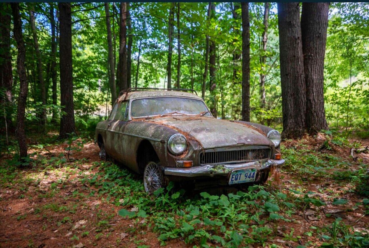 Ein verlassenes Auto im Wald.